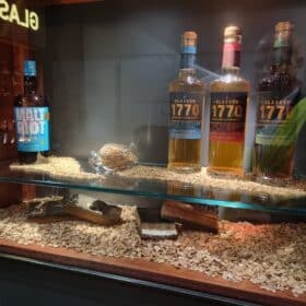 Whiskysmagning - Whisky world tour - 13/2 -2026 - Støvring - KUN 60 pladser