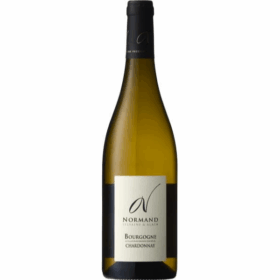 Dom. Sylvaine et Alain Normand Bourgogne Chardonnay 2024