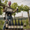 Vinsmagning Antolini 06.11.26 - Kun 40 pladser