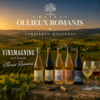 Vinsmagning Ollieux Romanis 02.10.26 - Kun 40 pladser
